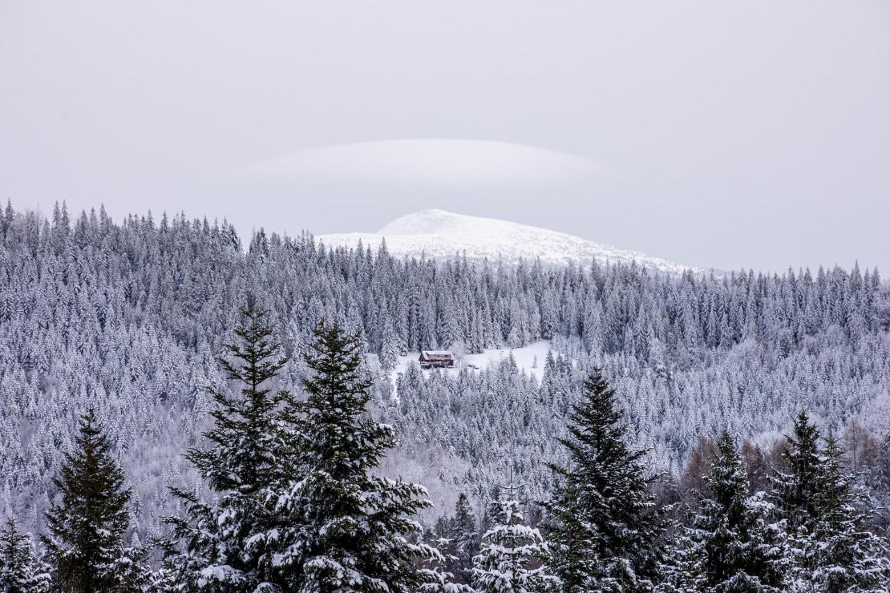Kompleks Pilsko-Jontek Korbielów Buitenkant foto